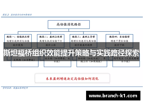 斯坦福桥组织效能提升策略与实践路径探索