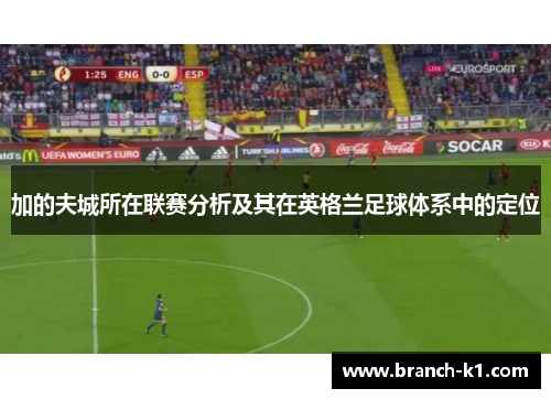 加的夫城所在联赛分析及其在英格兰足球体系中的定位