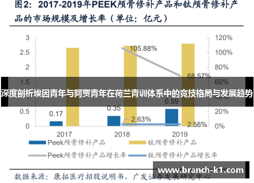 深度剖析埃因青年与阿贾青年在荷兰青训体系中的竞技格局与发展趋势