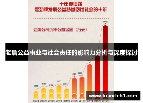 老詹公益事业与社会责任的影响力分析与深度探讨