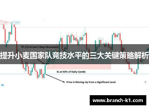 提升小麦国家队竞技水平的三大关键策略解析