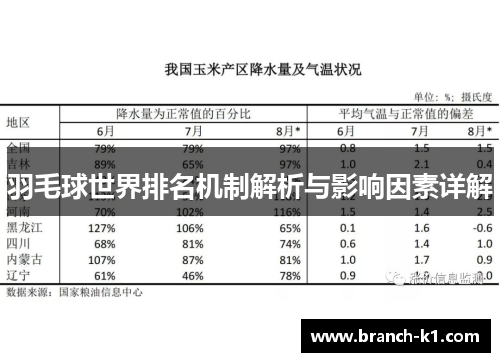 羽毛球世界排名机制解析与影响因素详解