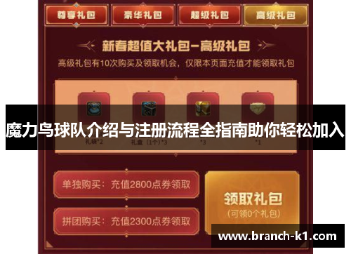 魔力鸟球队介绍与注册流程全指南助你轻松加入