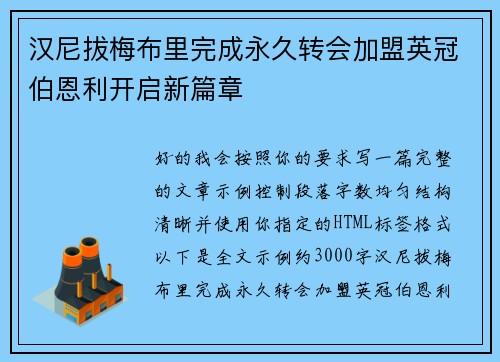 汉尼拔梅布里完成永久转会加盟英冠伯恩利开启新篇章